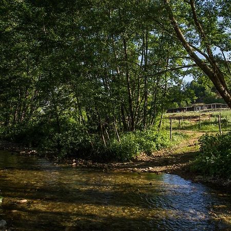 Agriturismo Borgo Serafino Mangone  Екстер'єр фото