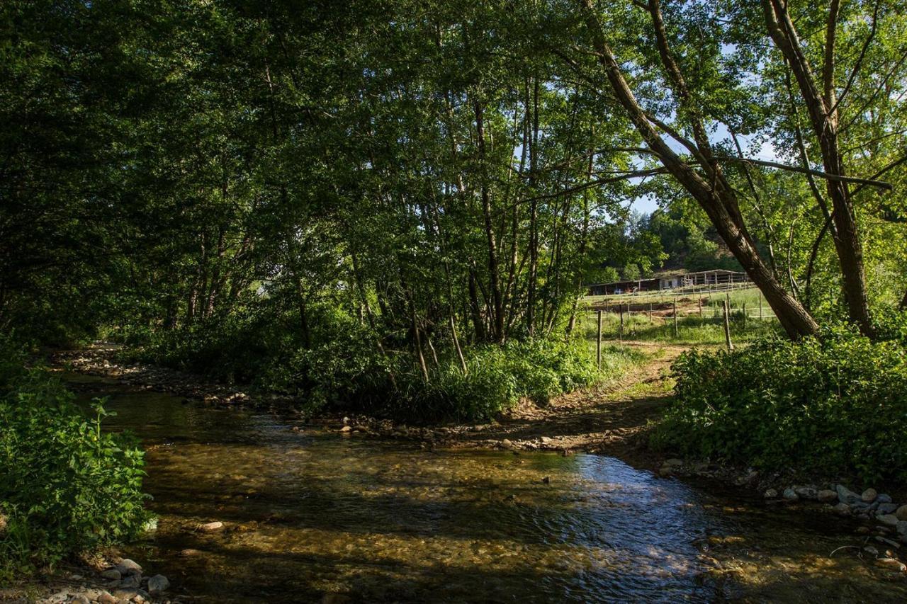 Agriturismo Borgo Serafino Mangone  Екстер'єр фото