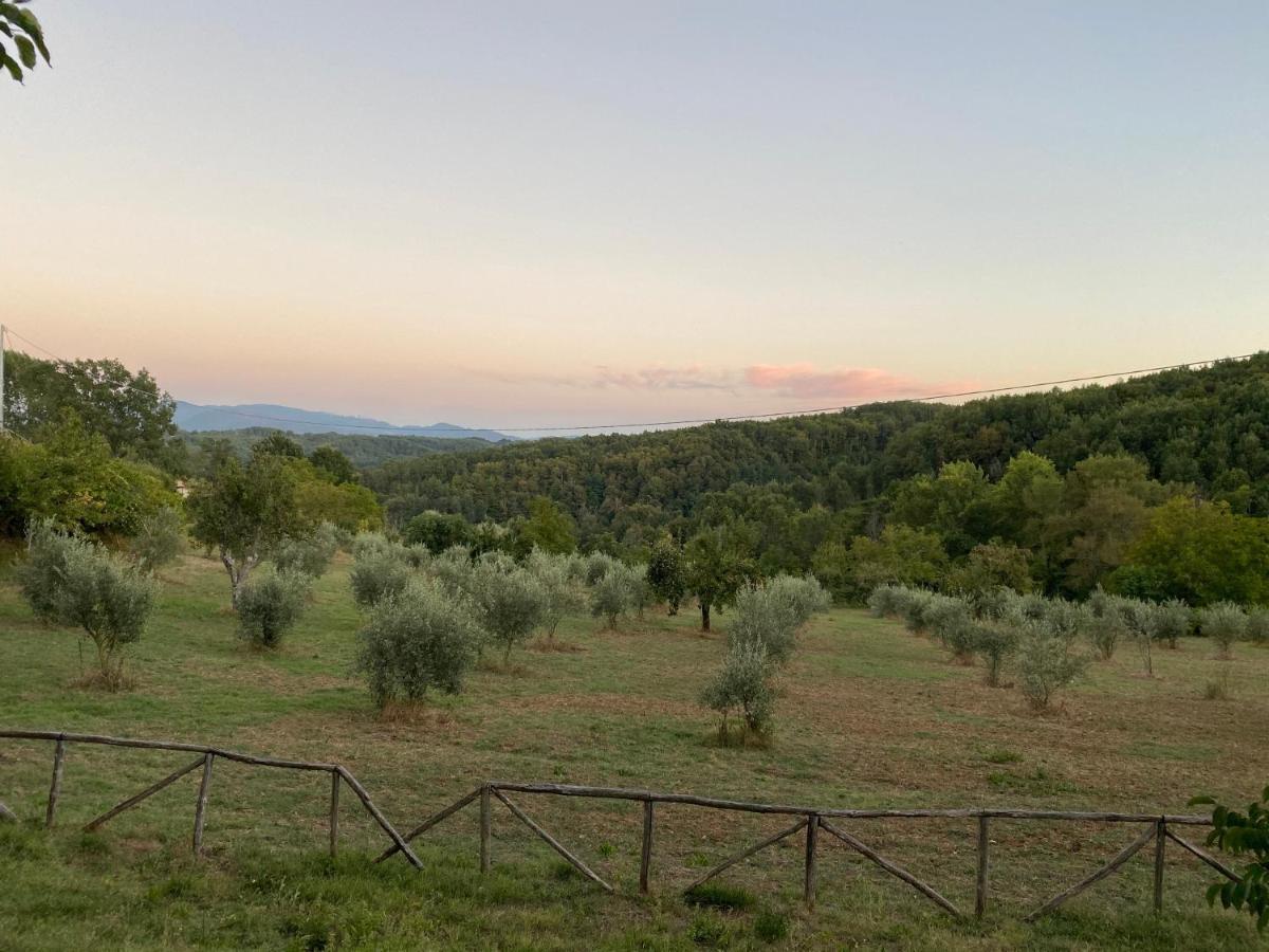 Agriturismo Borgo Serafino Mangone  Екстер'єр фото